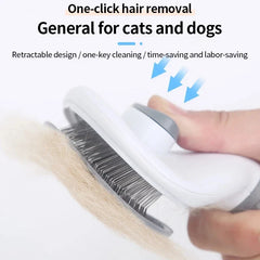 Deshedding Brush