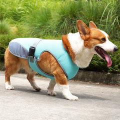 Summer Cooling Dog Vest