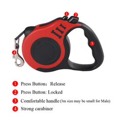 Dog Leash for Small Dogs