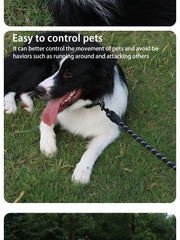 Pet Reflective Leash