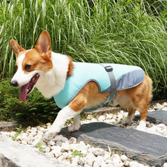 Summer Cooling Dog Vest