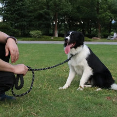 Pet Reflective Leash