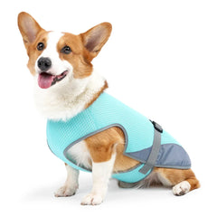 Summer Cooling Dog Vest